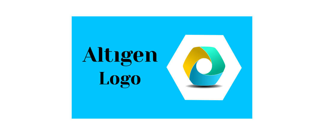 Altıgen Logo